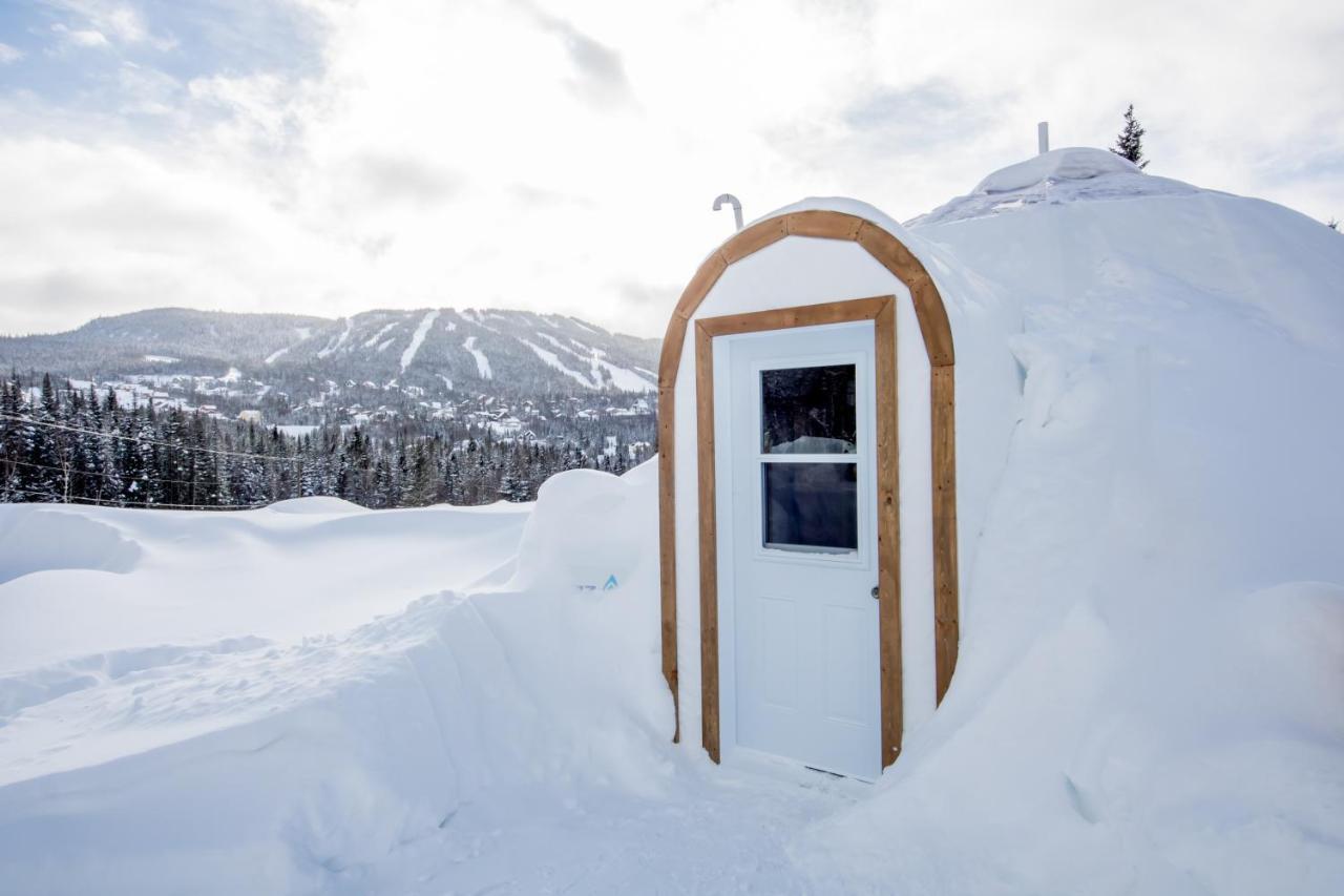 Imago Village Saint-David-de-Falardeau المظهر الخارجي الصورة