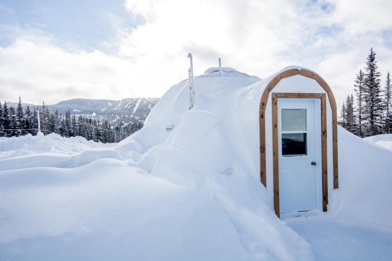 Imago Village Saint-David-de-Falardeau المظهر الخارجي الصورة