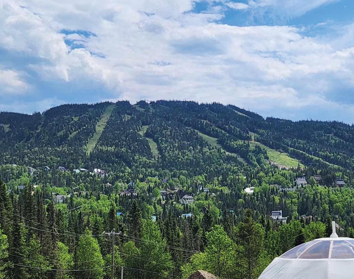 Imago Village Saint-David-de-Falardeau المظهر الخارجي الصورة