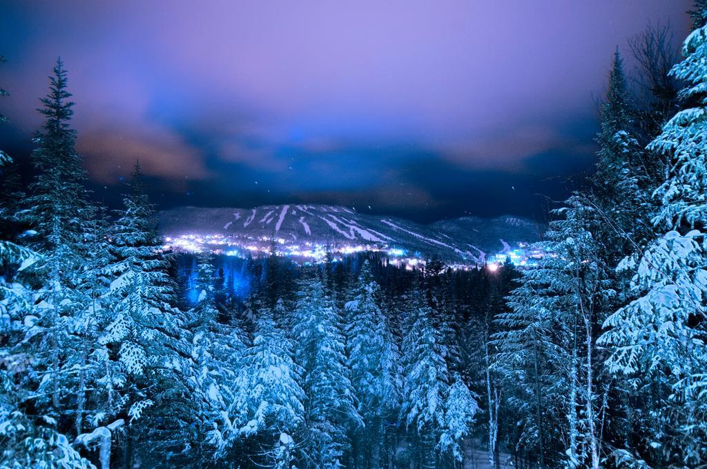Imago Village Saint-David-de-Falardeau المظهر الخارجي الصورة