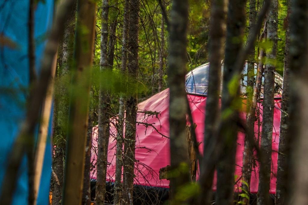 Imago Village Saint-David-de-Falardeau المظهر الخارجي الصورة